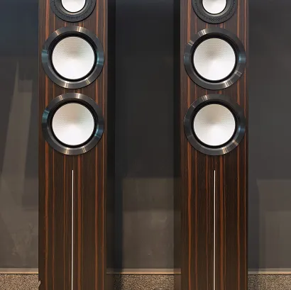 Kolumna podłogowa Monitor Audio Gold 300 6G Macassar – Outlet