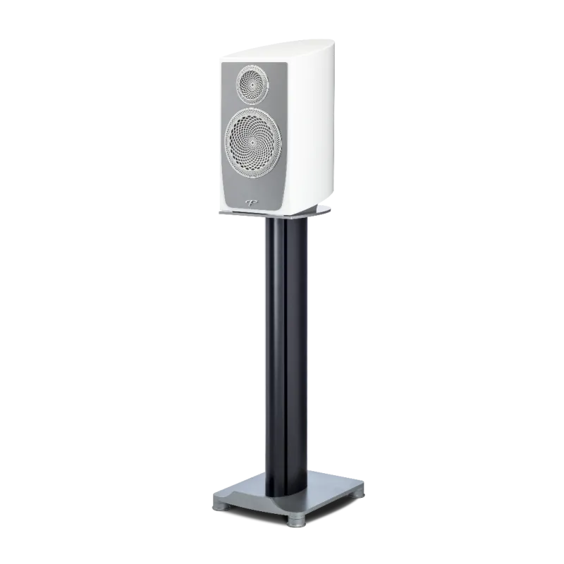 Paradigm Persona B-29