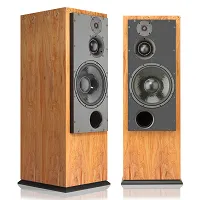 Kolumny aktywne ATC SCM100 ASLT