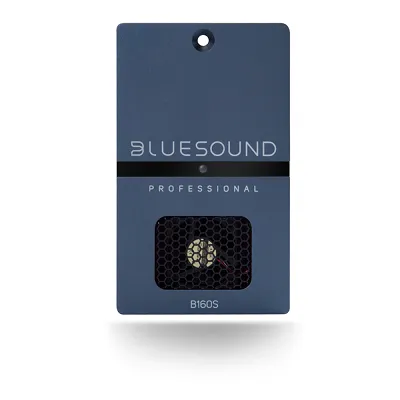 Wzmacniacz Bluesound B160S