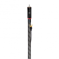 Przewód gramofonowy z uziemieniem WireWorld SILVER ECLIPSE 10 (SEI-G) RCA to RCA w/ GROUND