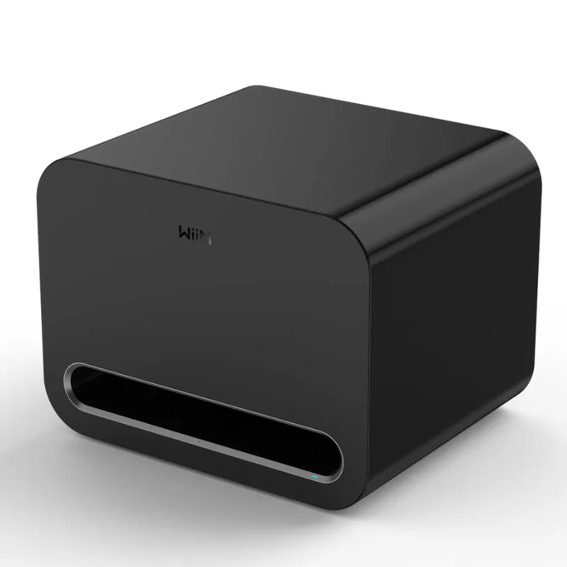 Subwoofer WiiM Sub Pro