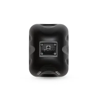 Głośnik naścienny Bluesound BSP500 (Czarny) - 4