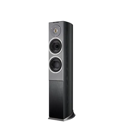 Kolumny podłogowe Audiovector R 3 Avantgarde (black ash)