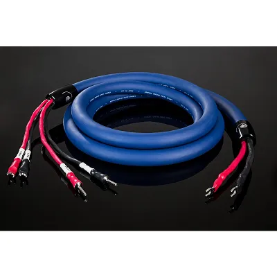 Cardas Audio Clear Beyond Speaker