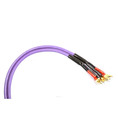 Kabel głośnikowy Melodika MDSC40s