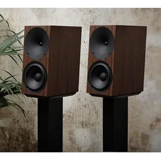 Buchardt Audio A500 (orzech) - 2