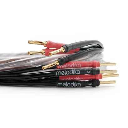 Kabel głośnikowy typu BI-AMP Melodika BSBA225 Brown Sugar (banan)