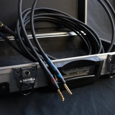 Kabel głośnikowy NxLT Earth SPKR-S