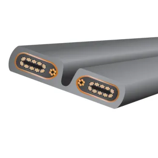 Przewód zasilający WireWorld SILVER ELECTRA 10 Power Cord (SEP) - 2