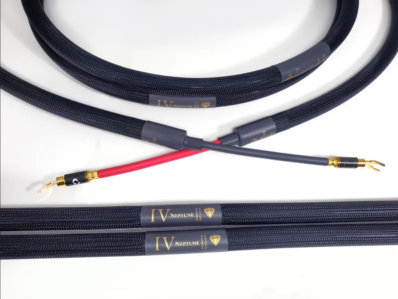 Purist Audio Design Neptune Diamond Revision SPK