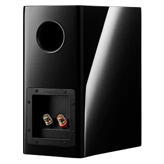 Kolumny podstawkowe Dynaudio Evoke 10 (czarny) - 4