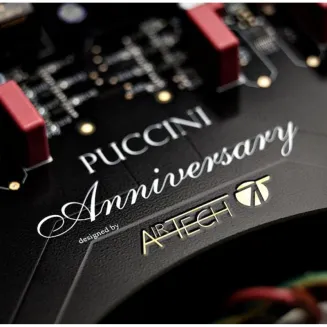 Wzmacniacz stereofoniczny Audio Analogue Puccini Anniversary (czarny) - 3