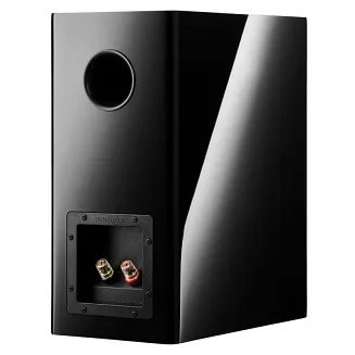 Kolumny podstawkowe Dynaudio Evoke 20 (czarny) - 5