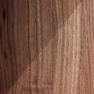 Kolumna podstawkowa Sonus Faber Concertino G4 - 9