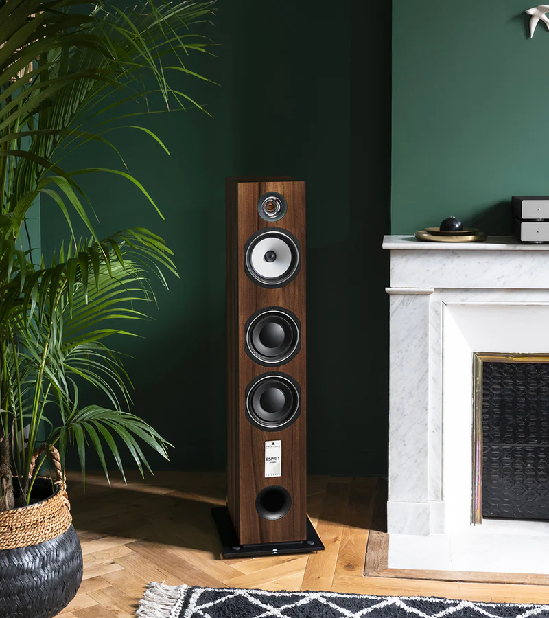 Triangle Gaia EZ – kompaktowe kolumny podłogowe Hi-Fi | Seria ESPRIT Triangle Gaia EZ to trójdrożne kolumny podłogowe klasy premium. Tytanowy tweeter, głęboki bas, elegancki design i technologie z serii Signature. Idealne do każdego wnętrza.