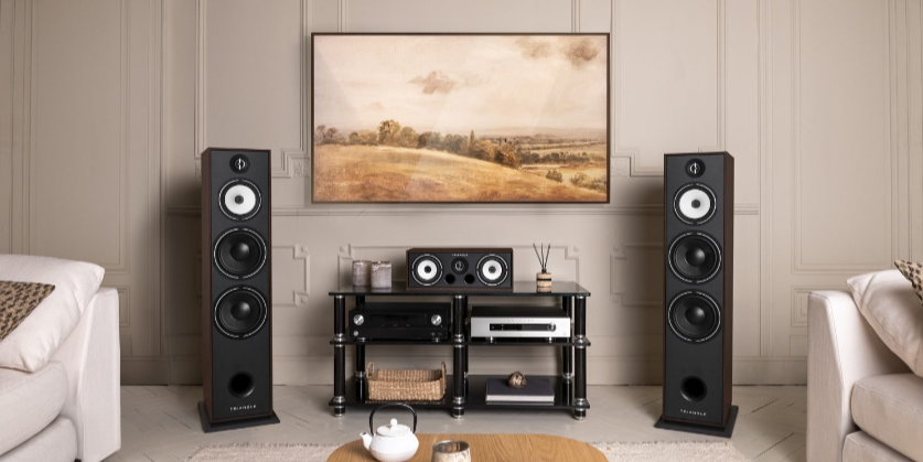 Kolumny podłogowe Triangle Borea BR10 Kolumny podłogowe Triangle Borea BR10